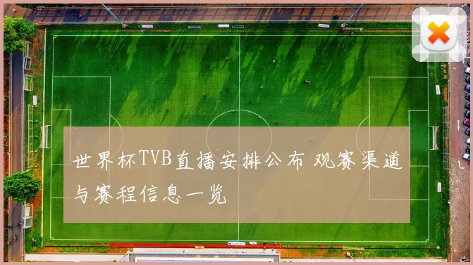 世界杯TVB直播安排公布 观赛渠道与赛程信息一览