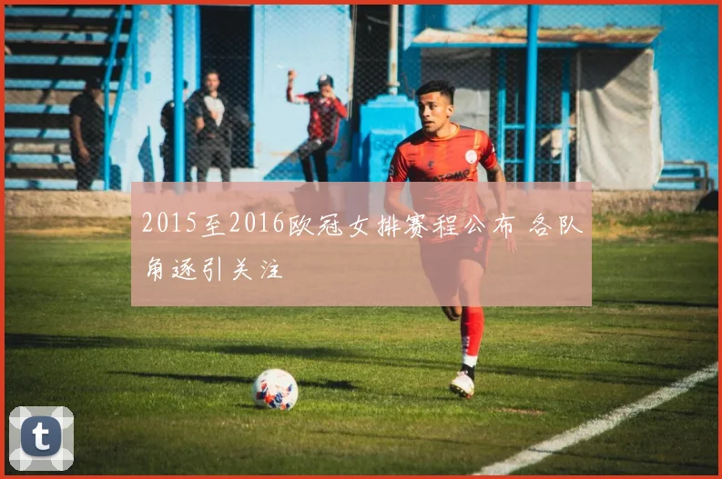 2015至2016欧冠女排赛程公布 各队角逐引关注